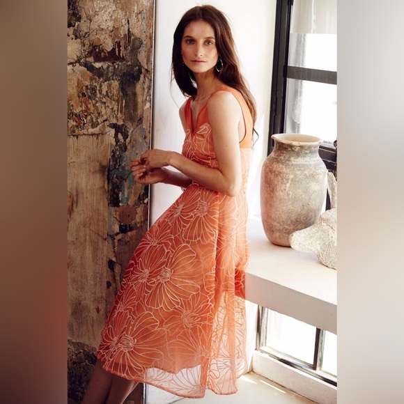 Anthropologie Calendula Dress by Moulinette Soeurs Organza Floral Sz 6 Spring! - Picture 3 of 10